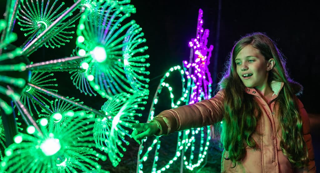 Holiday lights on the Winterfest Wonders of Light Walking Trail