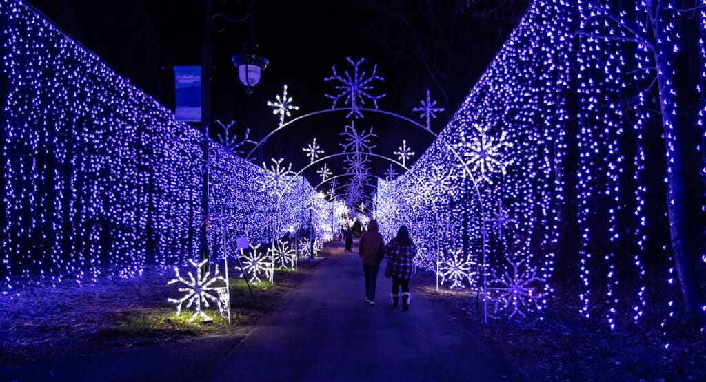 Where to See Holiday Lights in Pigeon My Pigeon