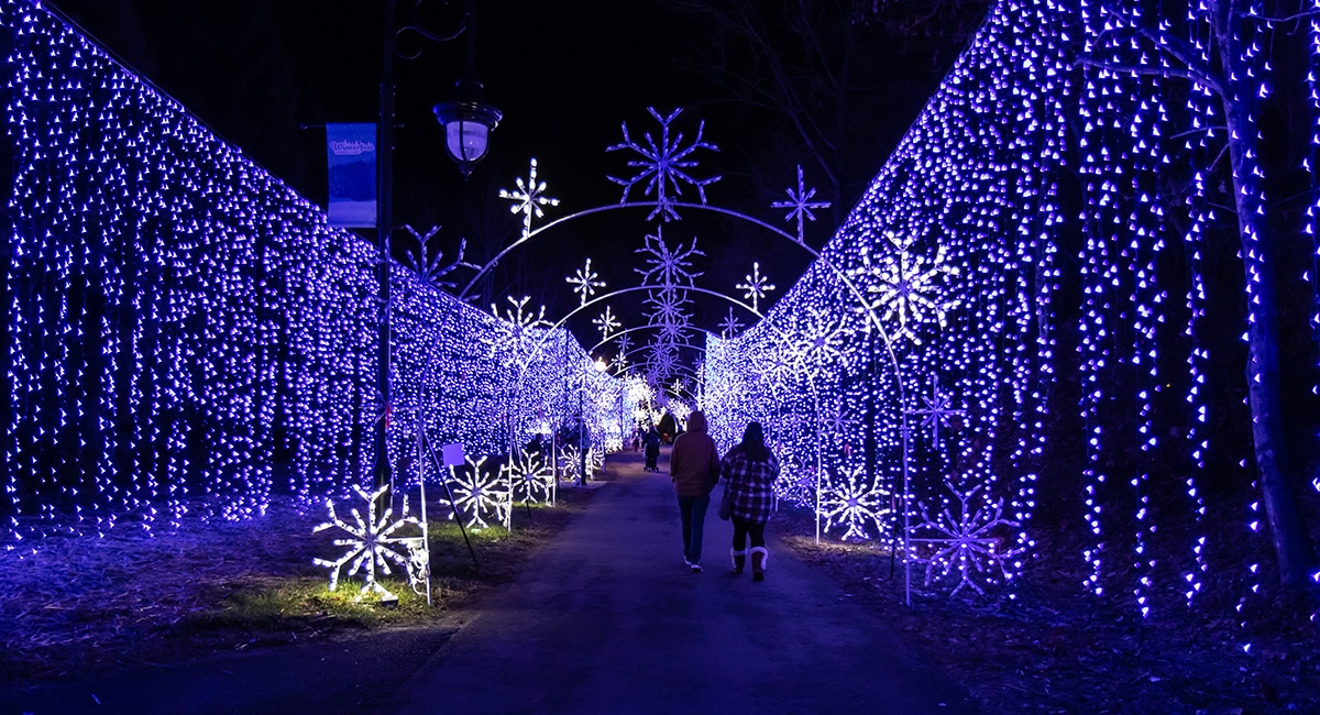 See the Winterfest Holiday Lights Before They’re Gone