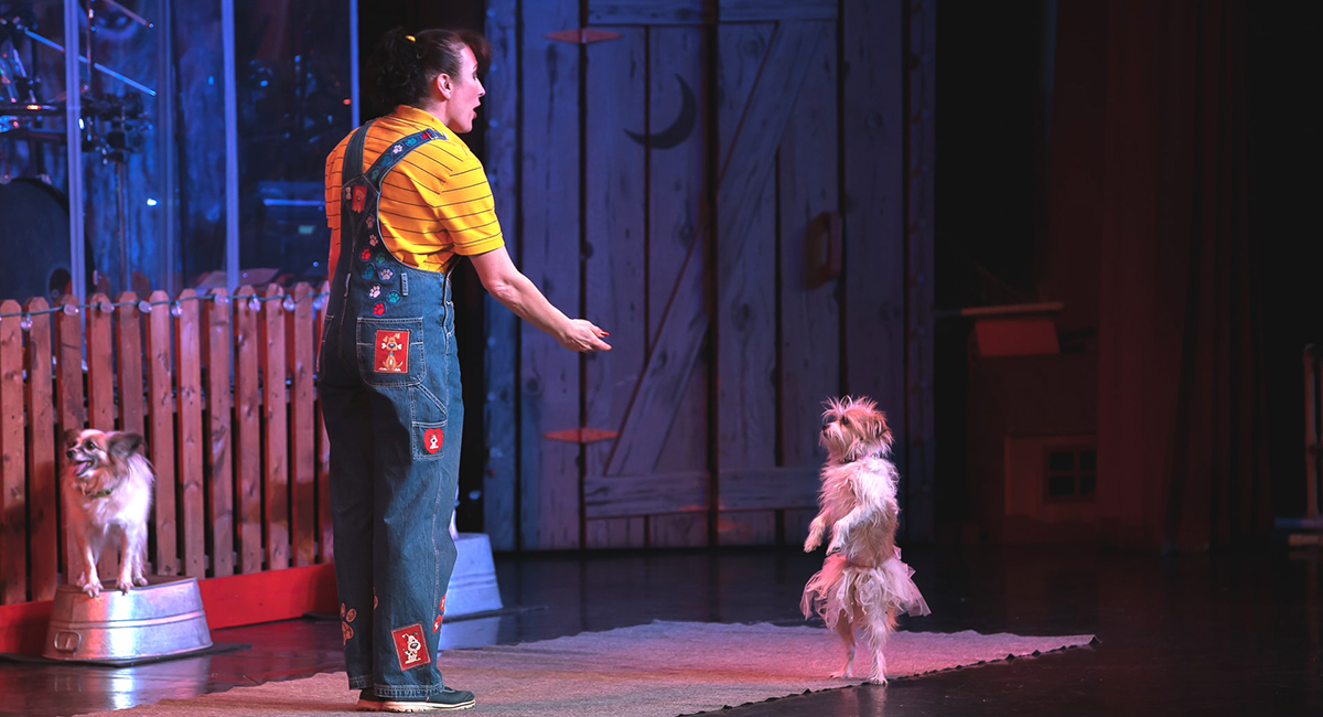 See Dancing Animals at Comedy Barn Theater