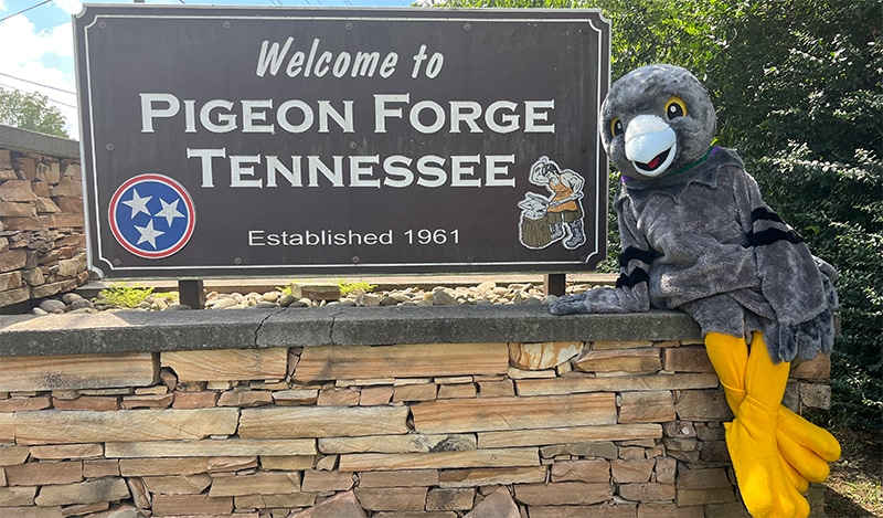 Meet Martha, the Pigeon Forge Passenger Pigeon Mascot