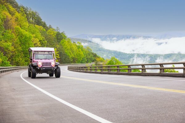 Enjoy fun adventures in the Smoky Mountains for Valentine's Day
