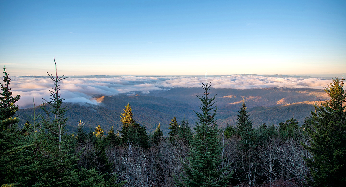 winter in the great smoky mountains