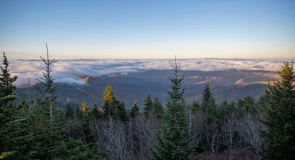 Explore the Smokies during Wilderness Wildlife Week