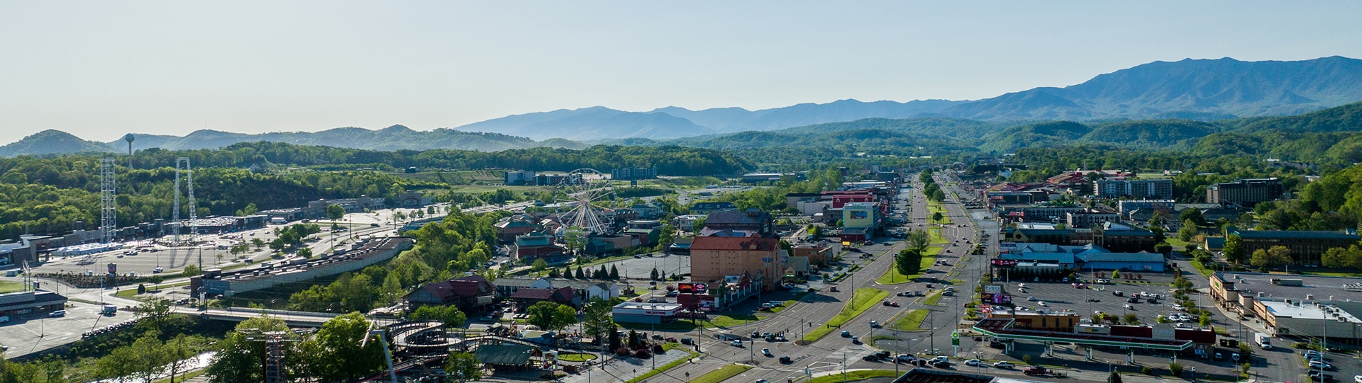 What's New in Pigeon for 2024 My Pigeon