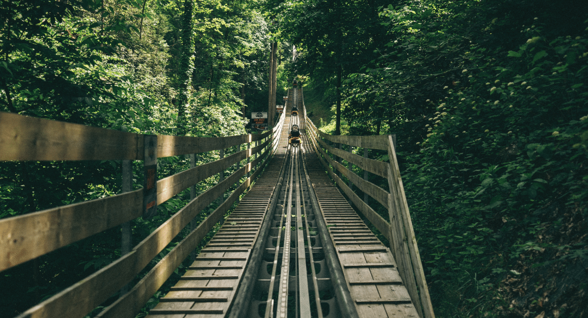 Smoky Mountain Alpine Coaster