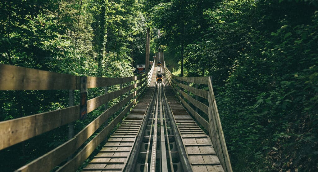 Smoky Mountain Alpine Coaster