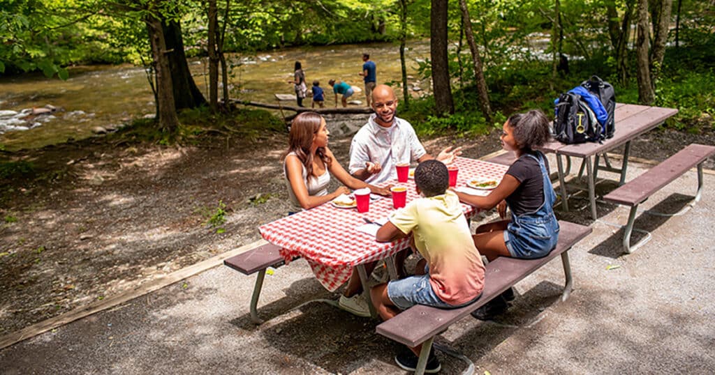 Family picnic in Cades Cove