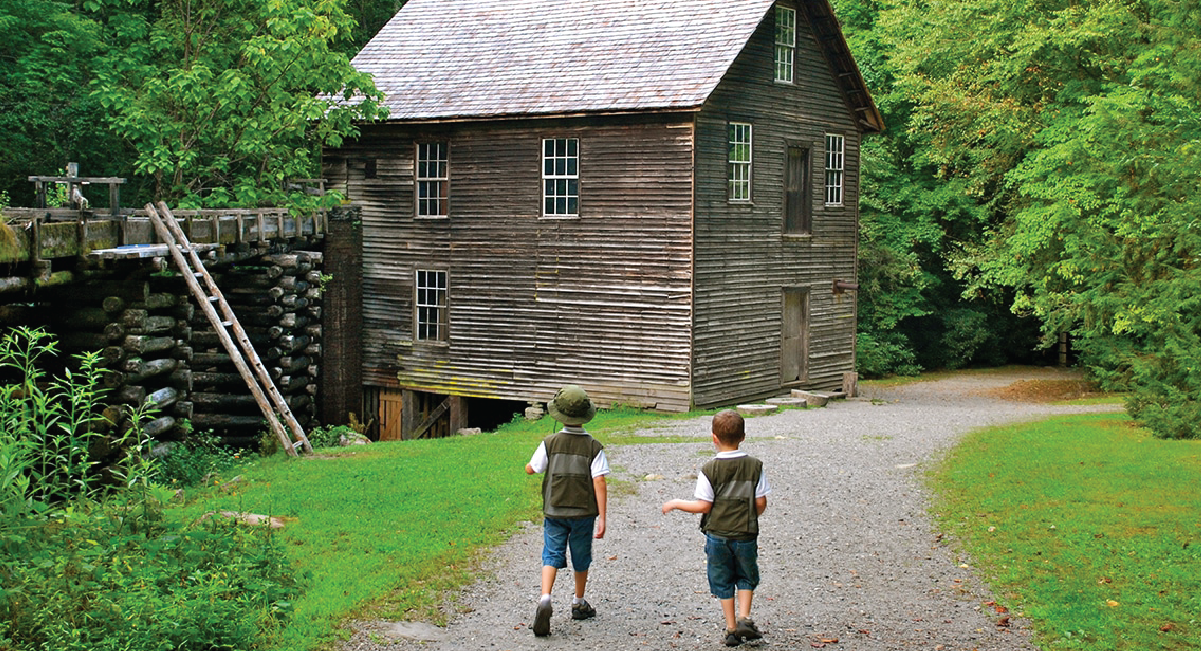 Become a Junior Ranger at Great Smoky Mountain National Park