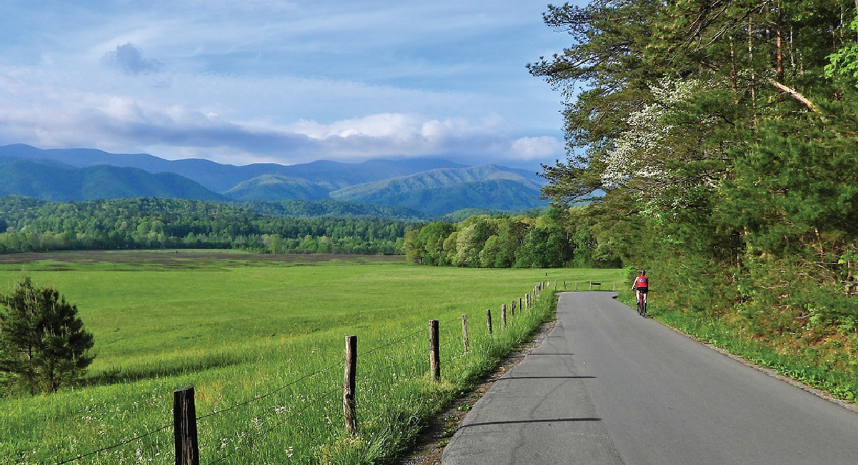 Bike through Cades Cove