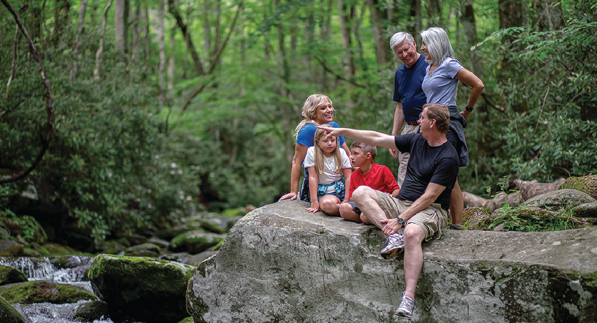 Hike to see a waterfall in the Smokies