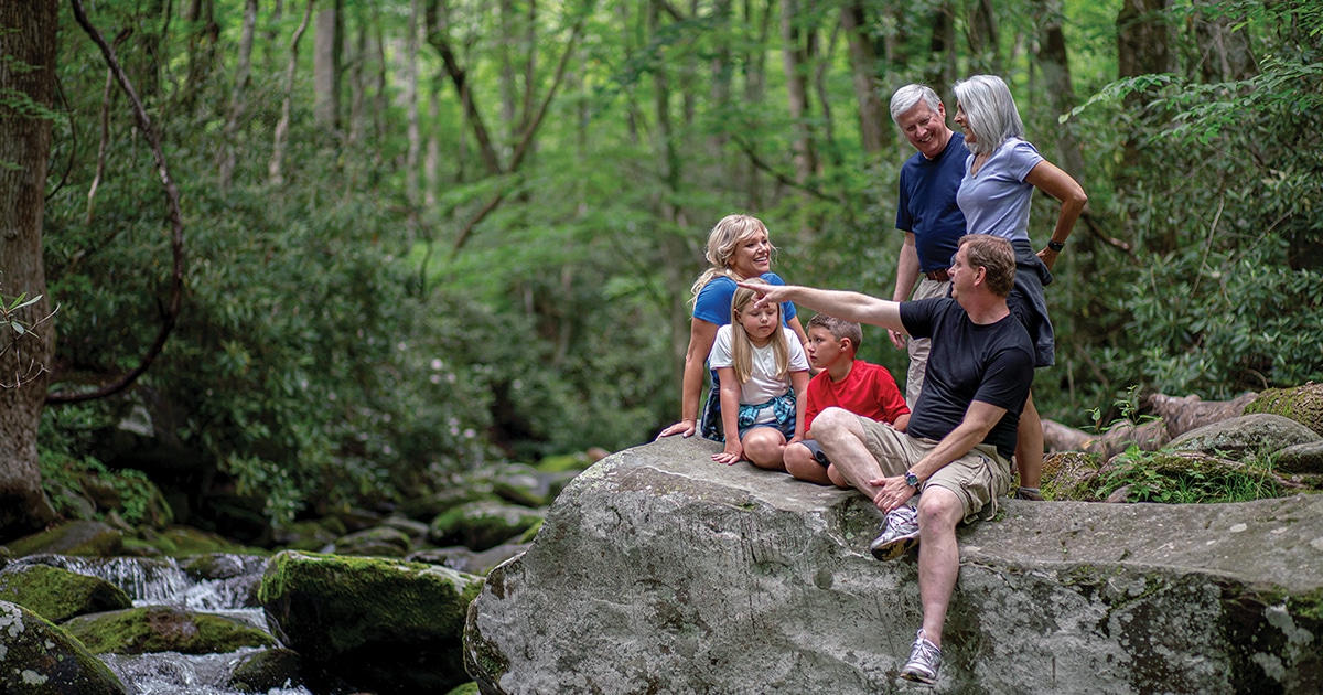 Hike to see a waterfall in GSMNP