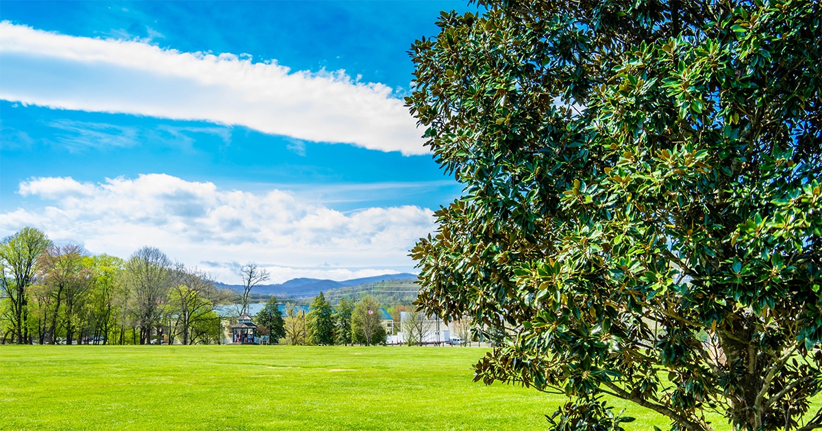 Have a picnic at Wear Farm City Park