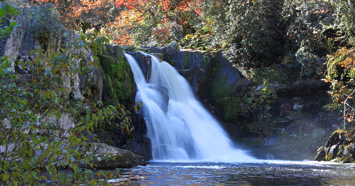 Abrams Falls Waterfall Hike in Great Smoky Mountains National Park