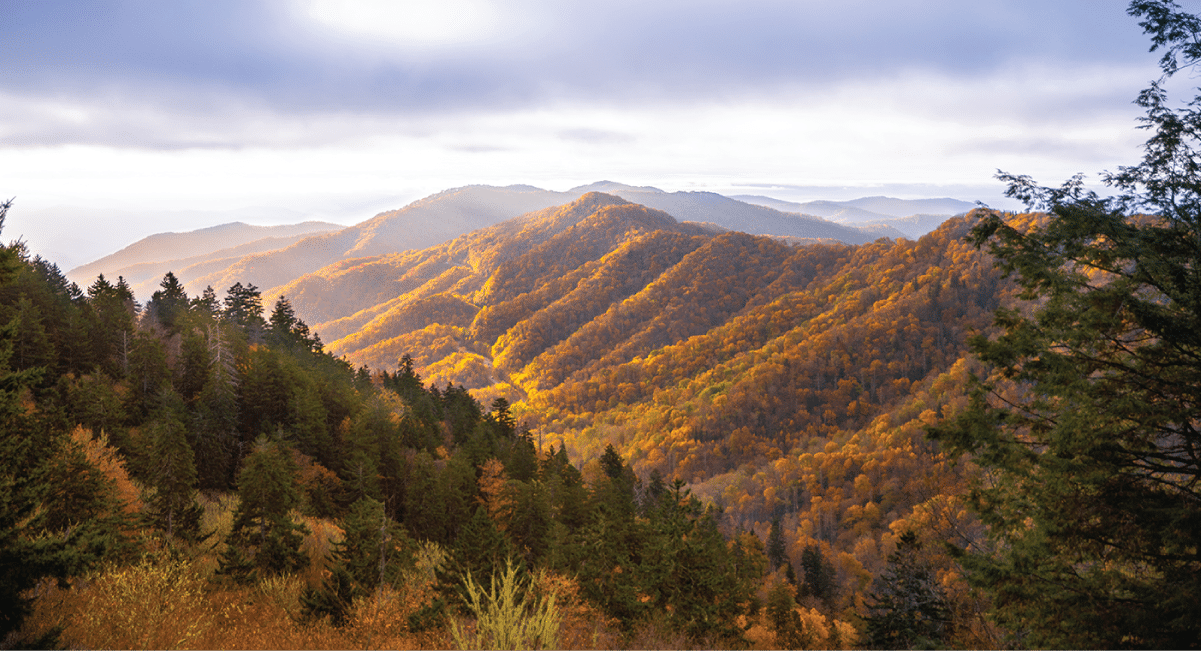fall foliage in great smoky mountain national park - october in pigeon forge