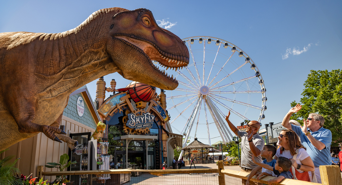 get pictures at Great Smoky Mountain Wheel at The Island
