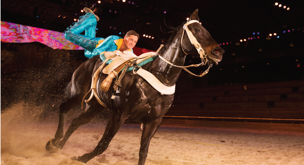 SPECTACULAR HOLIDAY DINNER SHOWS 