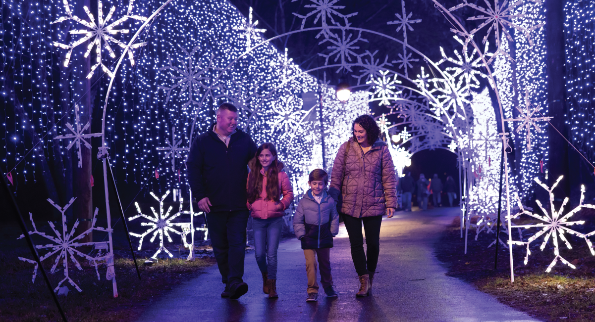 WINTERFEST LIGHTS UP THE NIGHT
