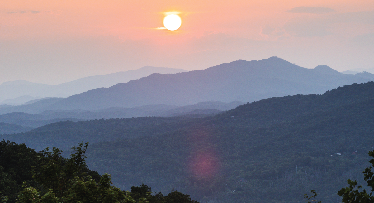 Explore the Smokies during Wilderness Wildlife Week in January