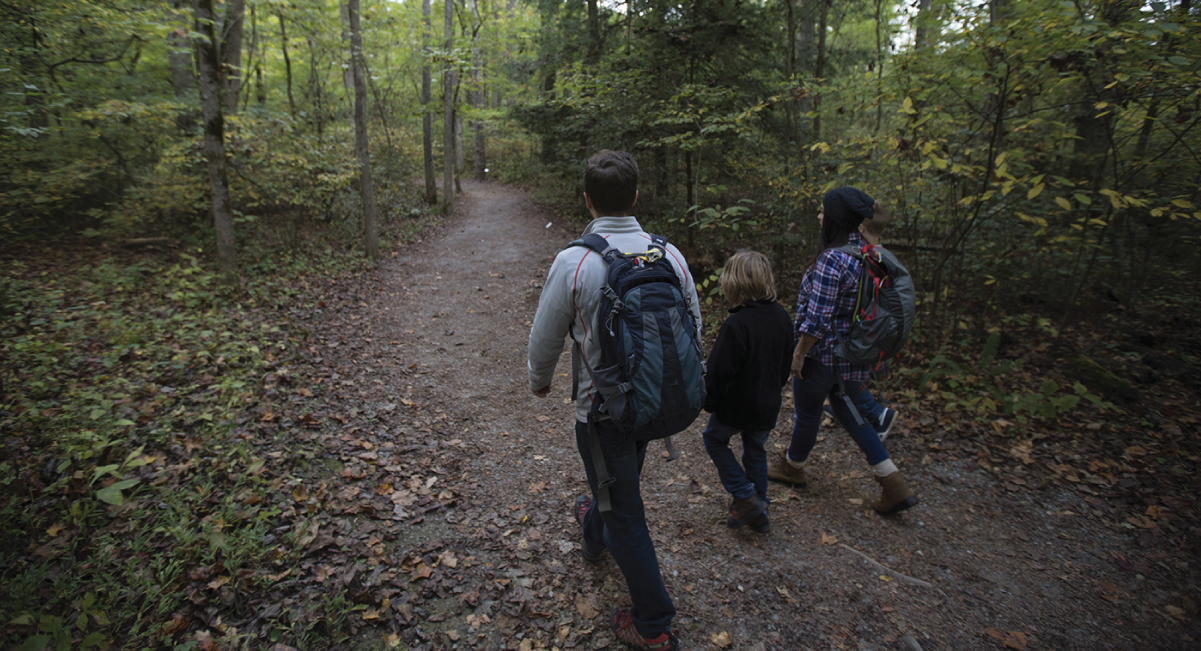 Go for a winter hike in the Smokies in January