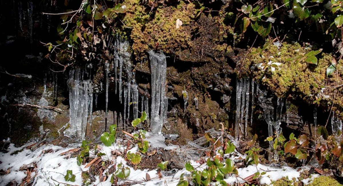 alum cave trail - snow icicles