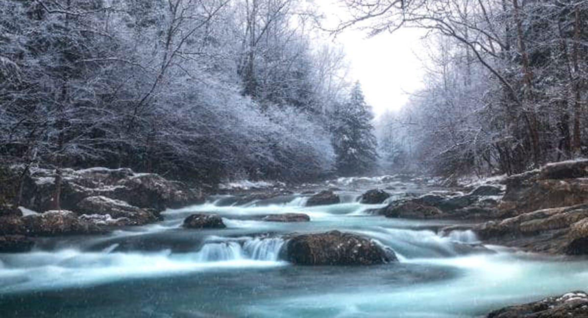 creek greenbrier - great smoky mountains national park