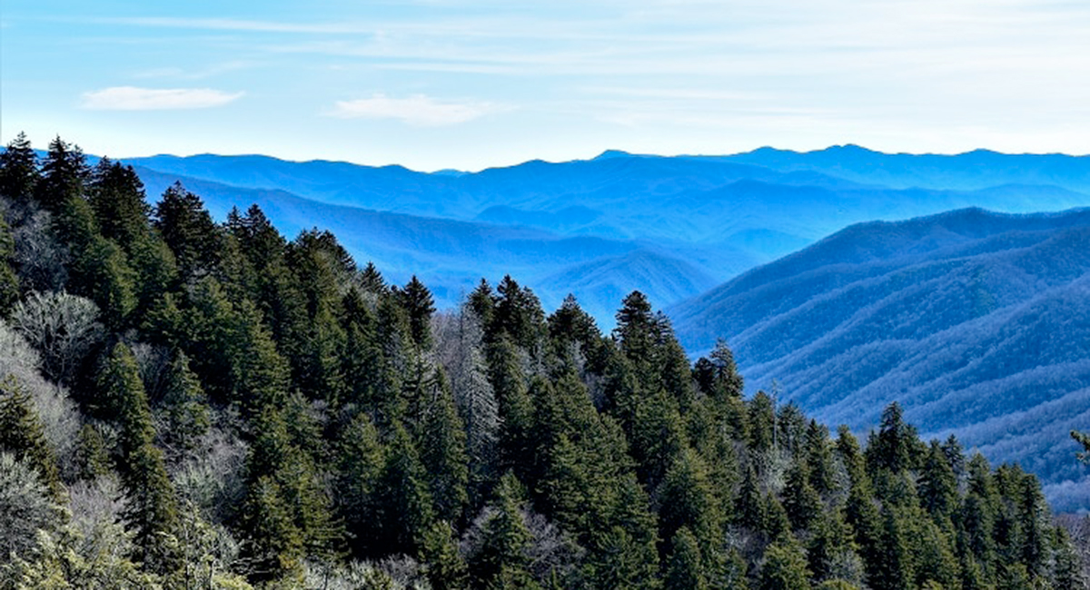 newfound gap road - winter views in the smokies