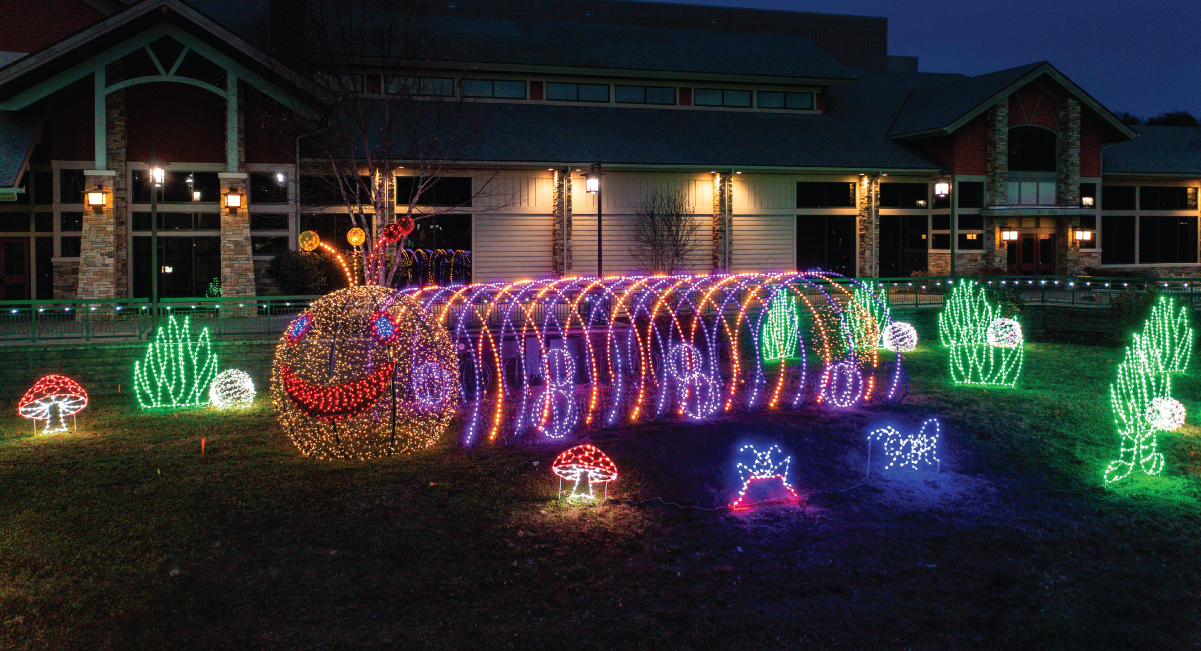see the winterfest lights this january in pigeon forge