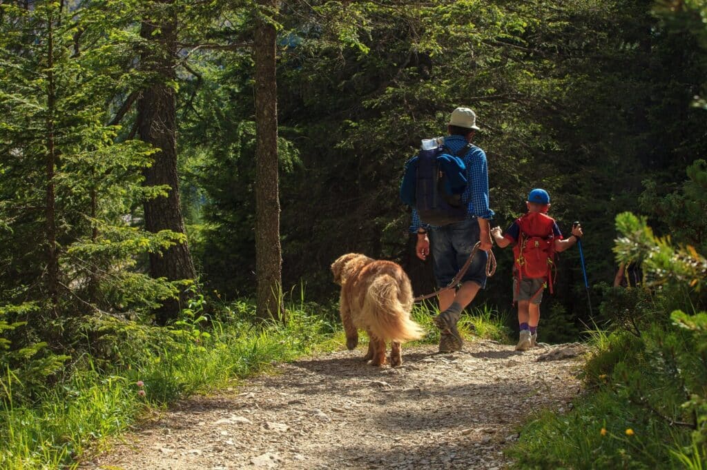 image of hiking in pigeon forge