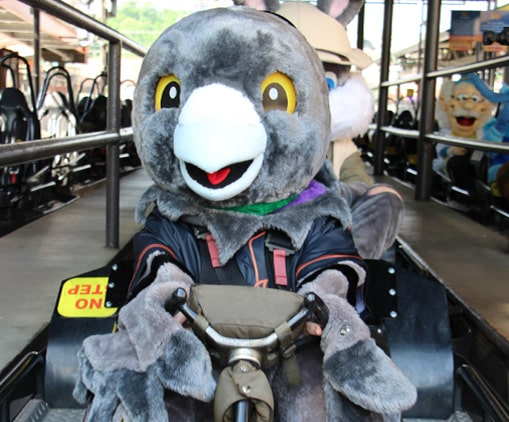 https://www.mypigeonforge.com/martha