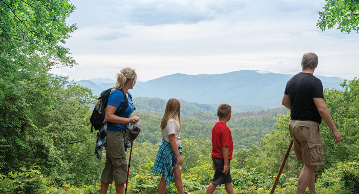 Enjoy Summer Adventures in the Great Smoky Mountains 