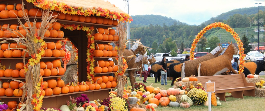Fall Festivals »