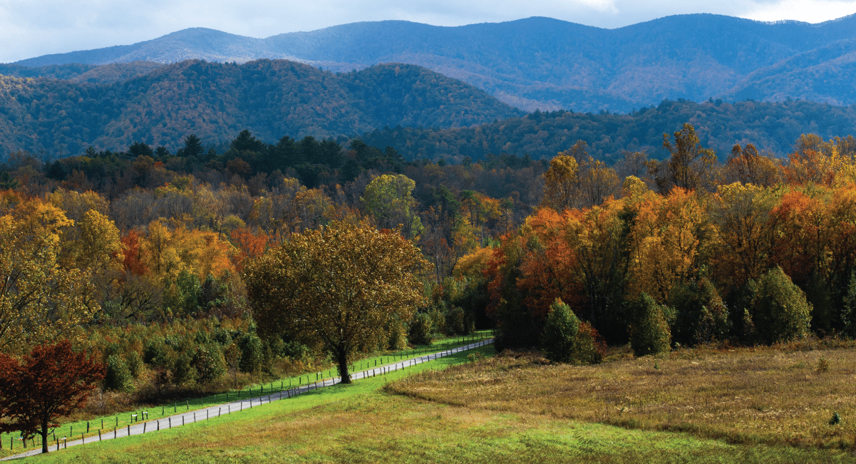 cades cove loop road in the fall 