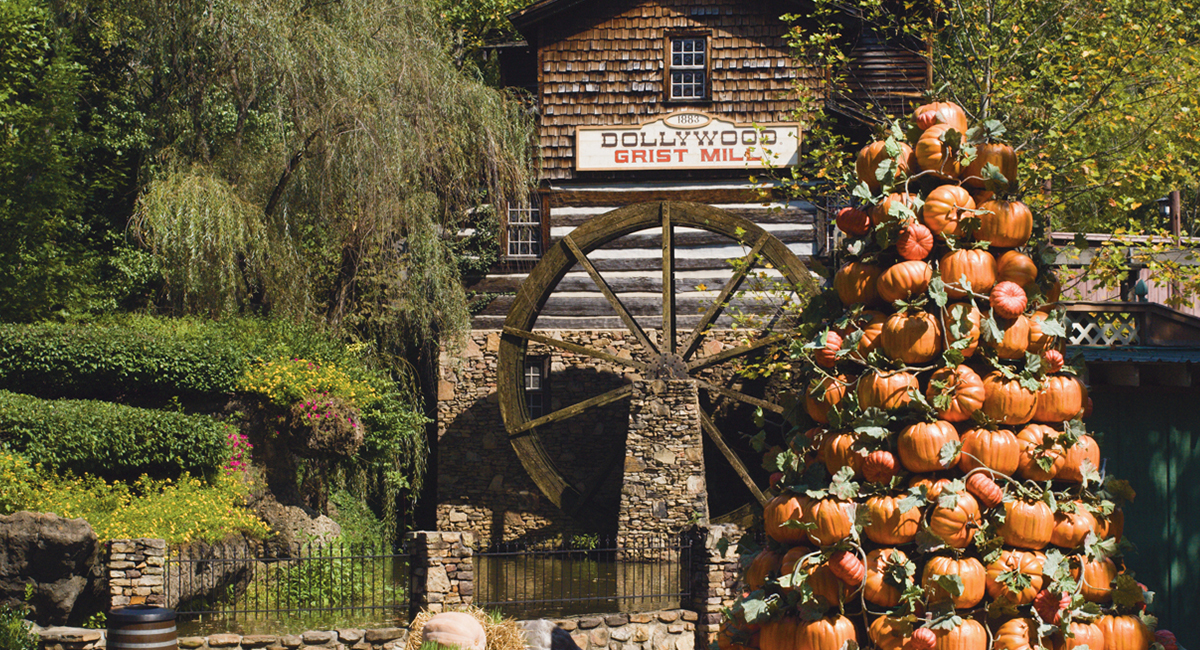 pumpkin display at dollywood grist mill in pigeon forge