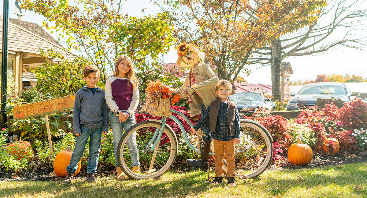fall and pumpkin decorations in pigeon forge