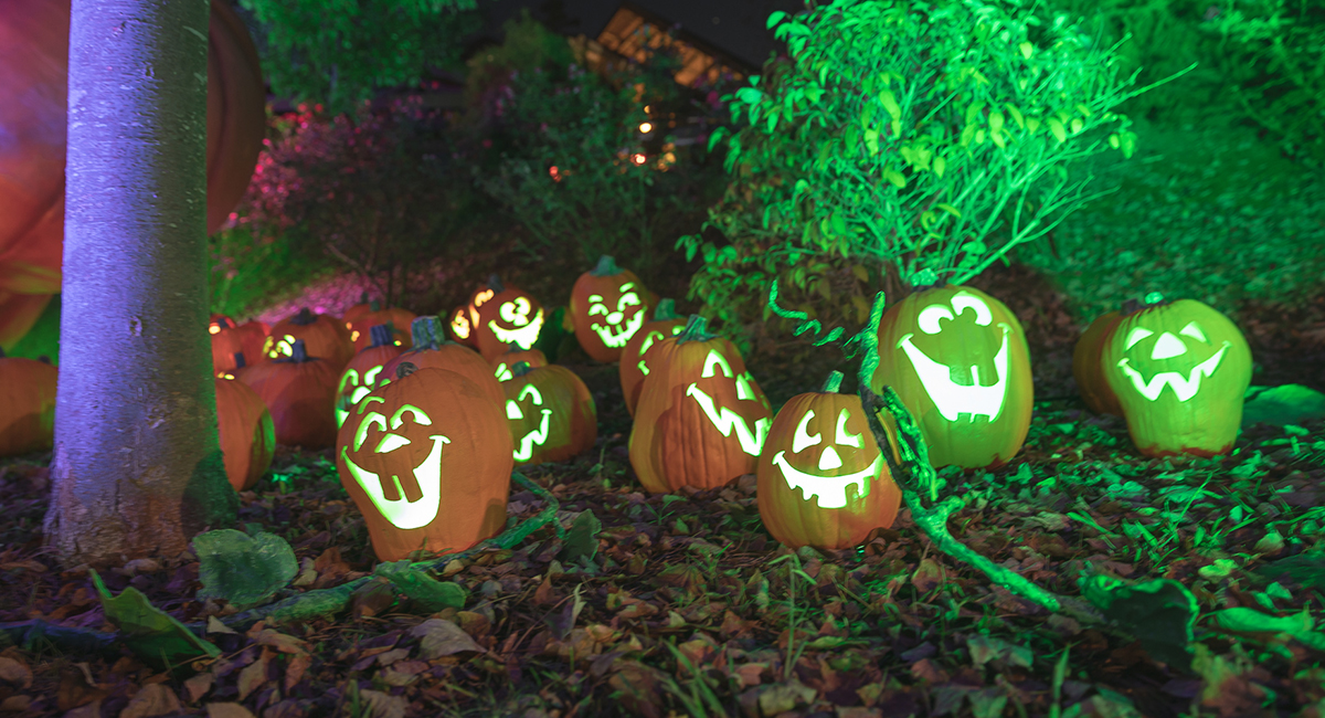 glowing pumpkins during halloween in pigeon forge
