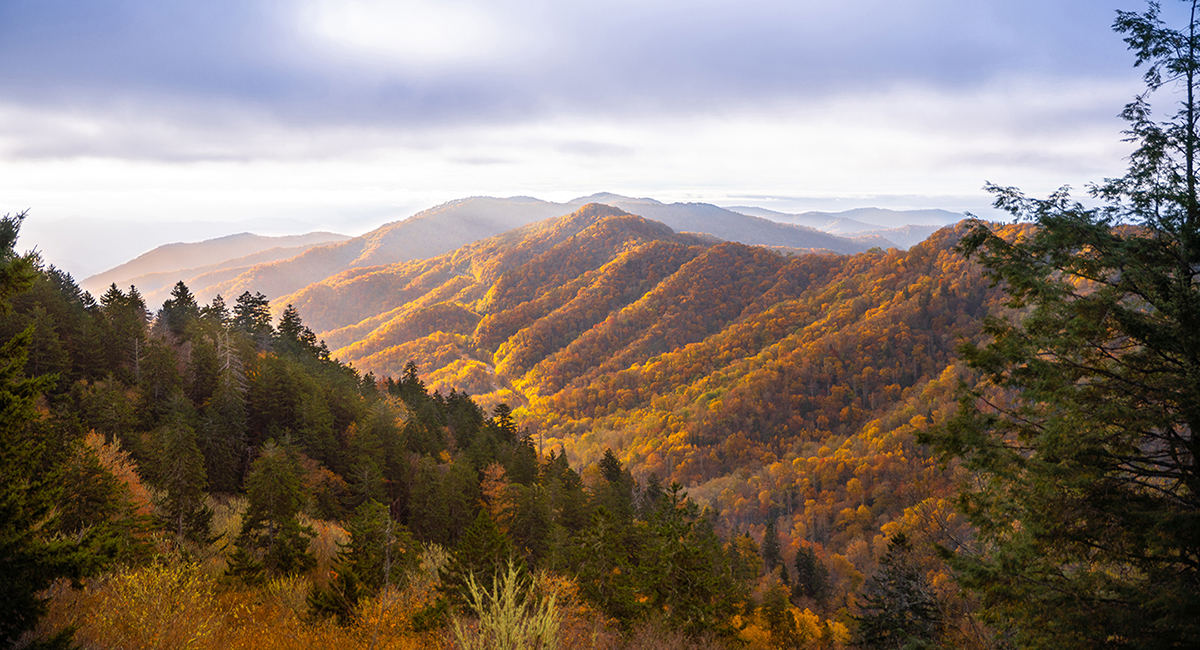 sunset view off Newfound Gap Road