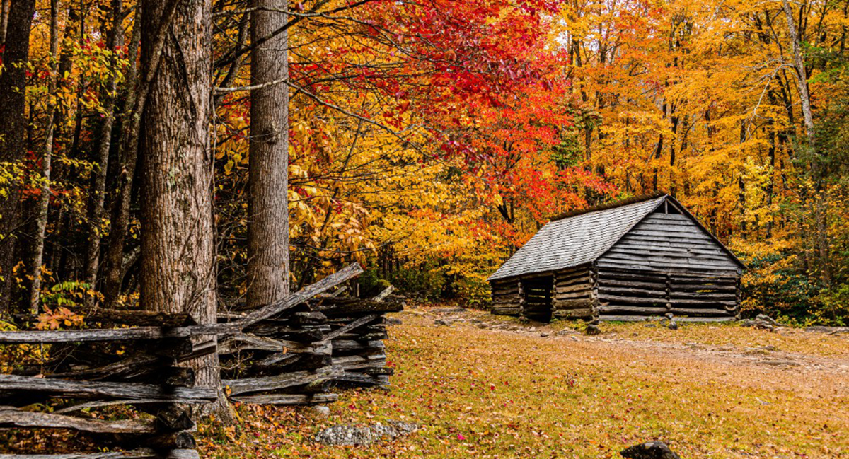 image of cabin in fall along Roaring Fork Motor Nature Trail