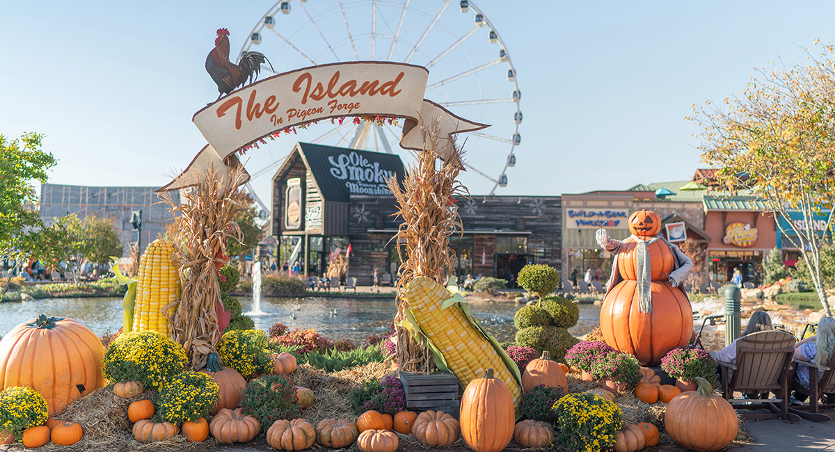the island decorated in fall decor