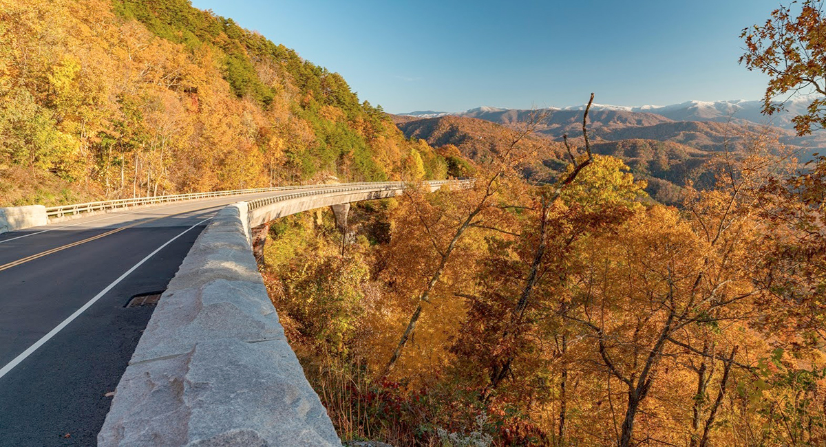 fall foliage along foothills parkway in the smokies