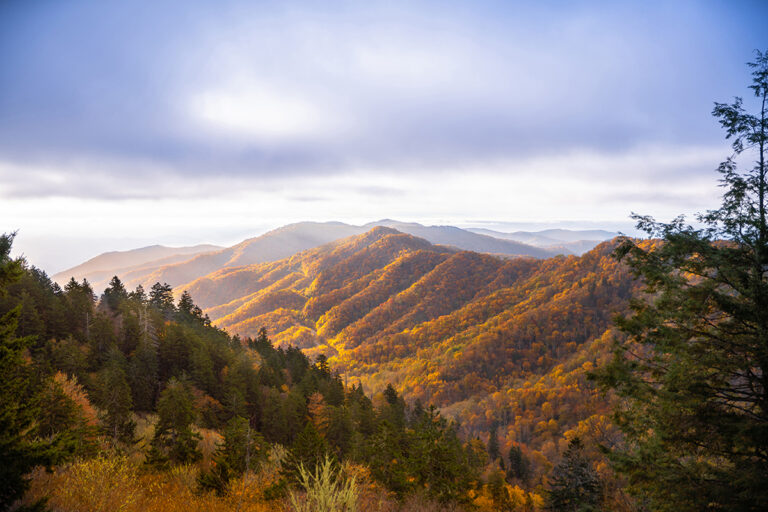 fall colors in the smoky mountains