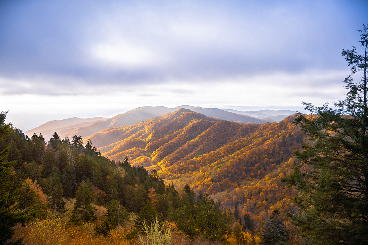 fall colors in the smoky mountains