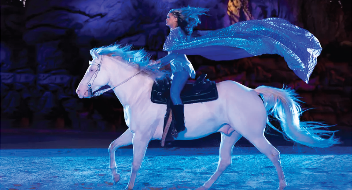 Dolly Parton's Stampede offers world class entertainment