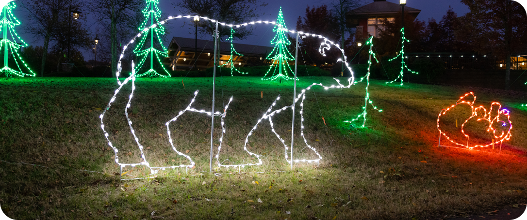 FREE HOLIDAY ACTIVITIES »