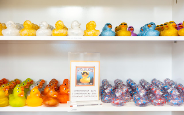 Duck Yeah - The Island in Pigeon Forge | Jeep Gear