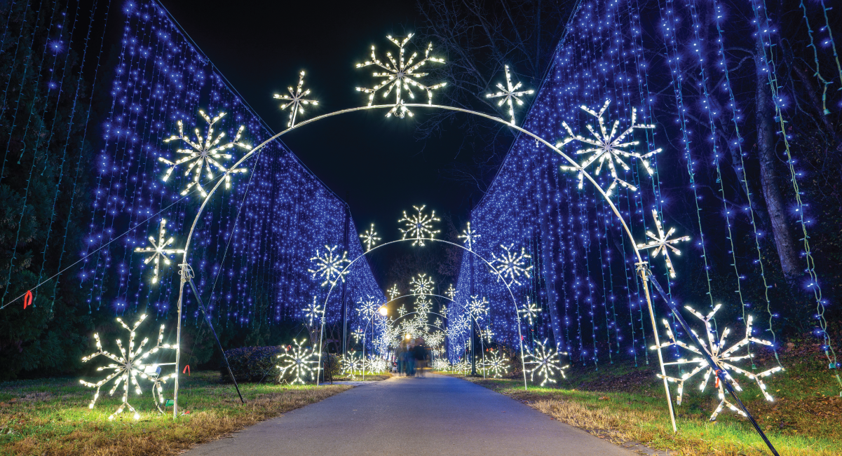 Wonders of Light Walking Trail in pigeon forge during christmas