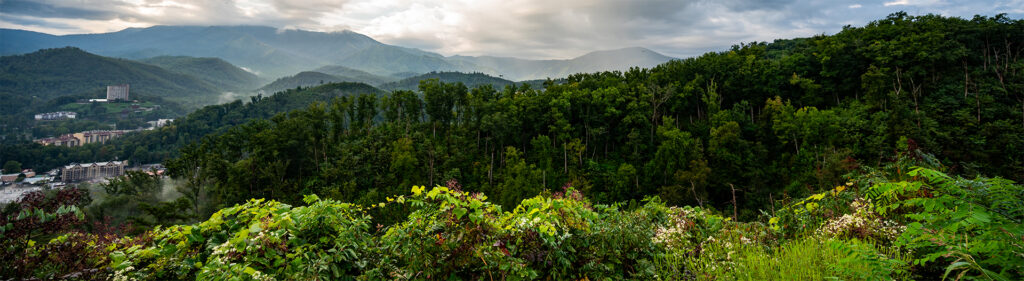 Plan Your Pigeon Forge Trip