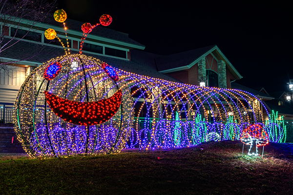 Experience Millions of Twinkling Lights at Winterfest this winter in pigeon forge