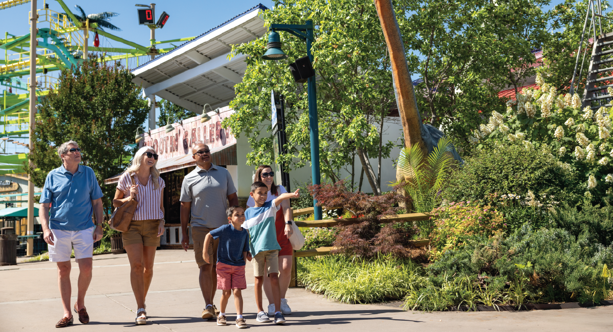 Make This Spring Break the Best One Yet in pigeon forge tn!