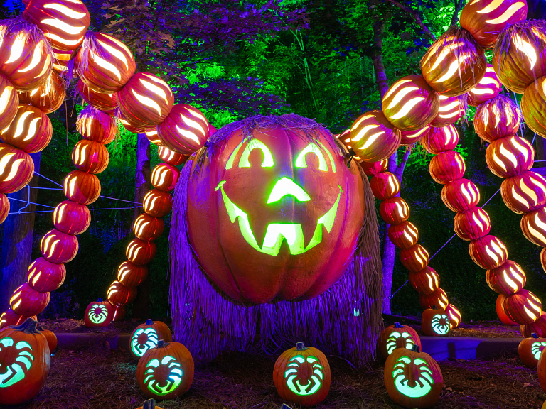Fall in Pigeon Forge Fall in Pigeon Forge